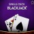 Single Deck Blackjack GOLD